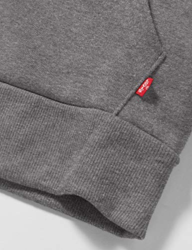 Levi's Kids Lvb Chenille Batwing Hoodie Sudadera Niños Charcoal Heather 16 años