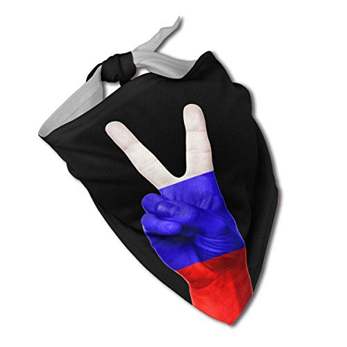 leyhjai Rusia Perro Bandana Collares Triángulo Pañuelo Baberos Bufandas Accesorios Mascotas Gatos y Cachorros Bebé Toalla Saliva leyhjai Rusia Perro Bandana Collares Triángulo Pañuelo Baberos Bufandas Accesorios Mascotas Gatos y Cachorros Bebé Toalla Saliva