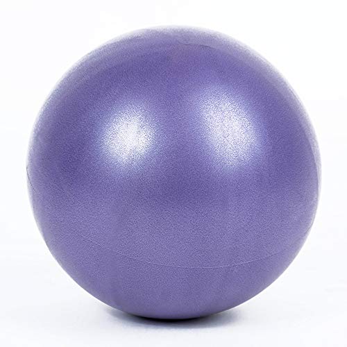 LEZED Mini Bola de Yoga Pilates para Ejercicios de Fitness Balón de tonificación para Fitness, Fitness Pilates Pelota para Entrenamiento y Terapia física (hogar y Gimnasio y Oficina) 25cm 2 Bolas