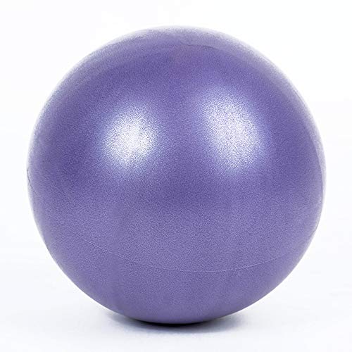 LEZED Mini Bola de Yoga Pilates para Ejercicios de Fitness Balón de tonificación para Fitness, Fitness Pilates Pelota para Entrenamiento y Terapia física (hogar y Gimnasio y Oficina) 25cm 2 Bolas LEZED Mini Bola de Yoga Pilates para Ejercicios de Fitness Balón de tonificación para Fitness, Fitness Pilates Pelota para Entrenamiento y Terapia física (hogar y Gimnasio y Oficina) 25cm 2 Bolas