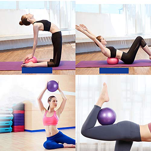 LEZED Mini Bola de Yoga Pilates para Ejercicios de Fitness Balón de tonificación para Fitness, Fitness Pilates Pelota para Entrenamiento y Terapia física (hogar y Gimnasio y Oficina) 25cm 2 Bolas