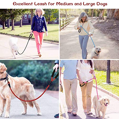 Litthing Correa para el Perro Nylon Ajustable Negro sólido Reflectante 150 cm para Perros Grandes o medianos Adecuado para Correr Senderismo Correr (Negro) Litthing Correa para el Perro Nylon Ajustable Negro sólido Reflectante 150 cm para Perros Grandes o medianos Adecuado para Correr Senderismo Correr (Negro)