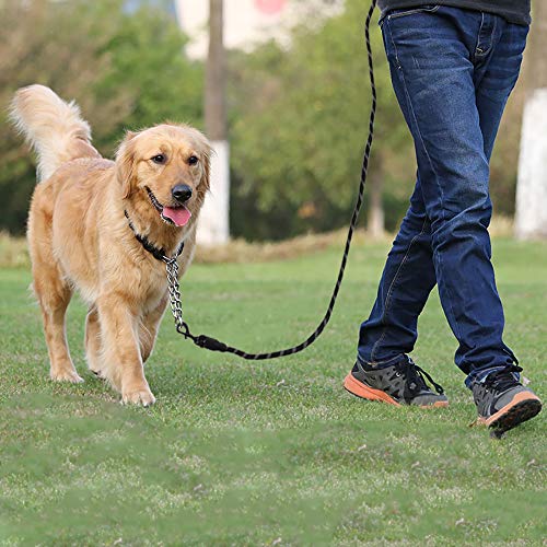 Litthing Correa para el Perro Nylon Ajustable Negro sólido Reflectante 150 cm para Perros Grandes o medianos Adecuado para Correr Senderismo Correr (Negro) Litthing Correa para el Perro Nylon Ajustable Negro sólido Reflectante 150 cm para Perros Grandes o medianos Adecuado para Correr Senderismo Correr (Negro)