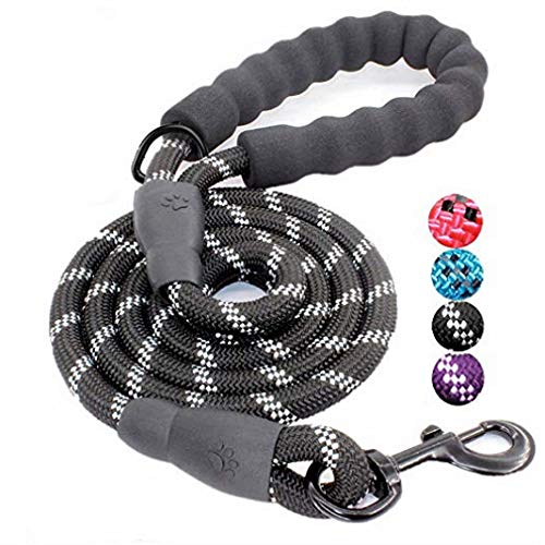 Litthing Correa para el Perro Nylon Ajustable Negro sólido Reflectante 150 cm para Perros Grandes o medianos Adecuado para Correr Senderismo Correr (Negro) Litthing Correa para el Perro Nylon Ajustable Negro sólido Reflectante 150 cm para Perros Grandes o medianos Adecuado para Correr Senderismo Correr (Negro)