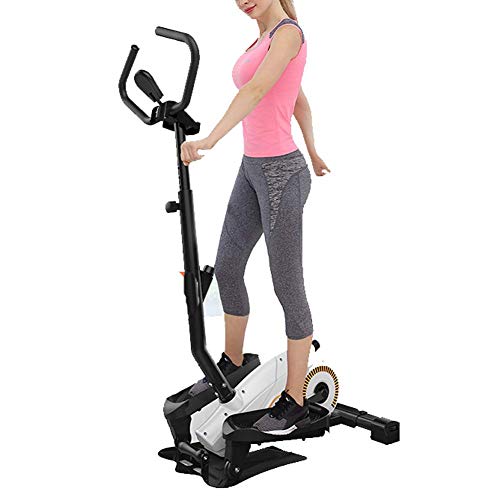 LJYY Bicicleta elíptica 2 en 1 para Uso doméstico con Pantalla de Consola, máquina de Entrenamiento de Cardio para Adelgazar, máquina de Entrenamiento de Cardio para Adelgazar, máquinas de Remo m