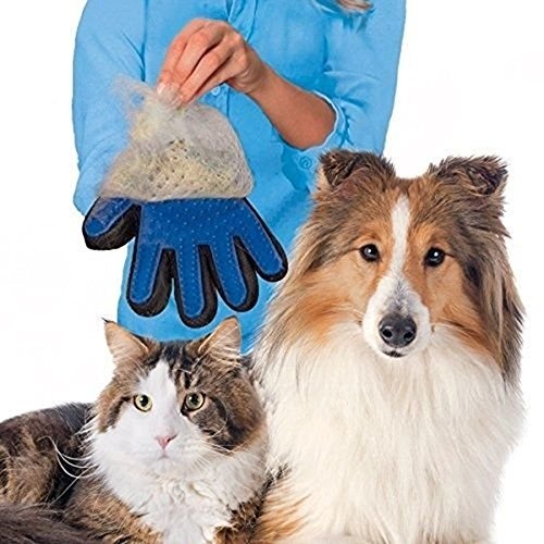Locisne 2Packs perro de mascota Gato limpieza de baño cepillo guante Silicona True Touch para masaje suave y eficiente Grooming Groomer Eliminación removedor pelo Limpiar el guante,la mano derechas Locisne 2Packs perro de mascota Gato limpieza de baño cepillo guante Silicona True Touch para masaje suave y eficiente Grooming Groomer Eliminación removedor pelo Limpiar el guante,la mano derechas