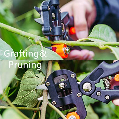 Locisne Jardín Injerto Poda Tijeras podar Tijeras Kit Herramientas Corte con Cuchillas reemplazables,Cintas,Bandas Goma,Llave Inglesa, Destornillador Juego jardinería para Plantas Árbol frutal Locisne Jardín Injerto Poda Tijeras podar Tijeras Kit Herramientas Corte con Cuchillas reemplazables,Cintas,Bandas Goma,Llave Inglesa, Destornillador Juego jardinería para Plantas Árbol frutal