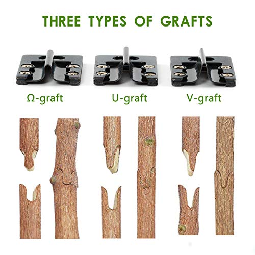 Locisne Jardín Injerto Poda Tijeras podar Tijeras Kit Herramientas Corte con Cuchillas reemplazables,Cintas,Bandas Goma,Llave Inglesa, Destornillador Juego jardinería para Plantas Árbol frutal Locisne Jardín Injerto Poda Tijeras podar Tijeras Kit Herramientas Corte con Cuchillas reemplazables,Cintas,Bandas Goma,Llave Inglesa, Destornillador Juego jardinería para Plantas Árbol frutal