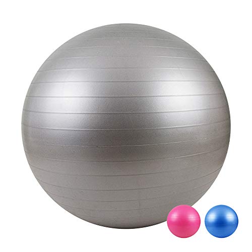 LOMOS Pelota de Ejercicio Profesional con Bomba de Aire en Distintos tamaños y Colores LOMOS Pelota de Ejercicio Profesional con Bomba de Aire en Distintos tamaños y Colores