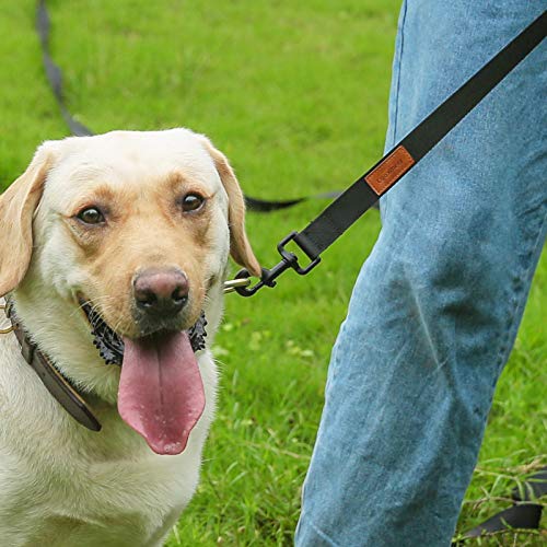 Looxmeer Correa de Adiestramiento para Perros, 5m/10m/20m, Correa Perro Larga, Cuerda para Perros Manos Libres, Correa Resistente Fuerte para Camping Paseo, Negro Looxmeer Correa de Adiestramiento para Perros, 5m/10m/20m, Correa Perro Larga, Cuerda para Perros Manos Libres, Correa Resistente Fuerte para Camping Paseo, Negro