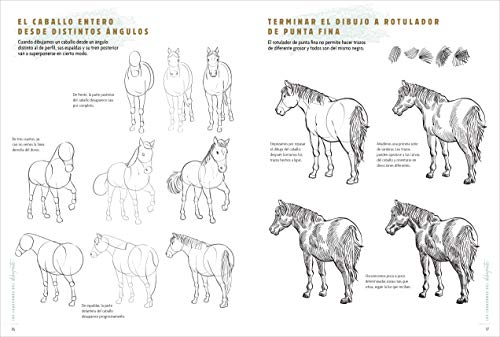 Los Cuadernos Del Dibujante. Caballos Y Ponis: 50 modelos para empezar