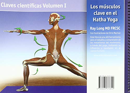 Los músculos clave en el hatha yoga (Claves Cientificas (acanto)