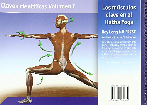 Los músculos clave en el hatha yoga (Claves Cientificas (acanto) Los músculos clave en el hatha yoga (Claves Cientificas (acanto)