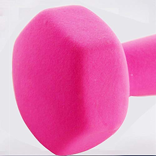 Los pesos de Libre Elección de neopreno con mancuernas (par) - 1 kg, 1,5 kg, 2 kg, 2,5 kg, 3 kg, 4 kg, Pesas mano perfecta for la fuerza de construcción, tonificación muscular, gimnasio en casa y Reha Los pesos de Libre Elección de neopreno con mancuernas (par) - 1 kg, 1,5 kg, 2 kg, 2,5 kg, 3 kg, 4 kg, Pesas mano perfecta for la fuerza de construcción, tonificación muscular, gimnasio en casa y Reha