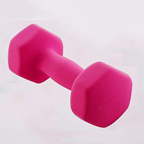 Los pesos de Libre Elección de neopreno con mancuernas (par) - 1 kg, 1,5 kg, 2 kg, 2,5 kg, 3 kg, 4 kg, Pesas mano perfecta for la fuerza de construcción, tonificación muscular, gimnasio en casa y Reha Los pesos de Libre Elección de neopreno con mancuernas (par) - 1 kg, 1,5 kg, 2 kg, 2,5 kg, 3 kg, 4 kg, Pesas mano perfecta for la fuerza de construcción, tonificación muscular, gimnasio en casa y Reha