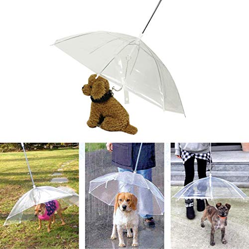 Losping - Paraguas portátil transparente para perros y gatos con cadena para mantener seco bajo la lluvia, herramienta de material de aire libre