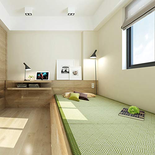 Love House Colchón Plegable,portátil Colchón De Fibra Colchón De Palma De Coco 3e Estera del Piso De Tatami Japonés Colchón Espuma Almohadilla De Dormir Firme-Verde 90x190cm(35x75inch)