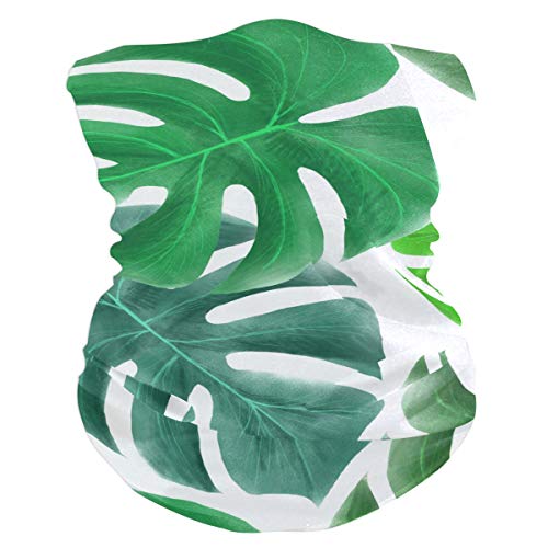 LUPINZ Bufanda mágica, máscara de pesca, máscara de tubo de palma verde tropical, pasamontañas para cuello y bufanda deportiva LUPINZ Bufanda mágica, máscara de pesca, máscara de tubo de palma verde tropical, pasamontañas para cuello y bufanda deportiva