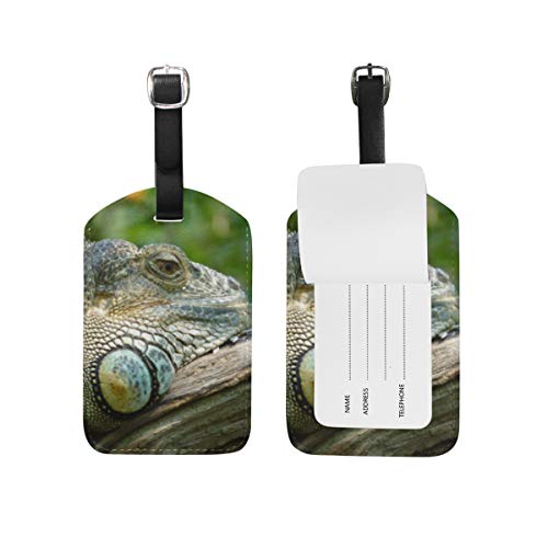 LUPINZ - Tarjetero de piel con diseño de lagartos para reptiles (2 unidades) LUPINZ - Tarjetero de piel con diseño de lagartos para reptiles (2 unidades)