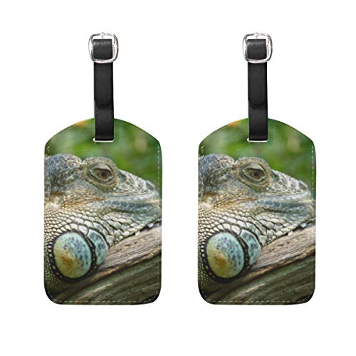 LUPINZ - Tarjetero de piel con diseño de lagartos para reptiles (2 unidades) LUPINZ - Tarjetero de piel con diseño de lagartos para reptiles (2 unidades)