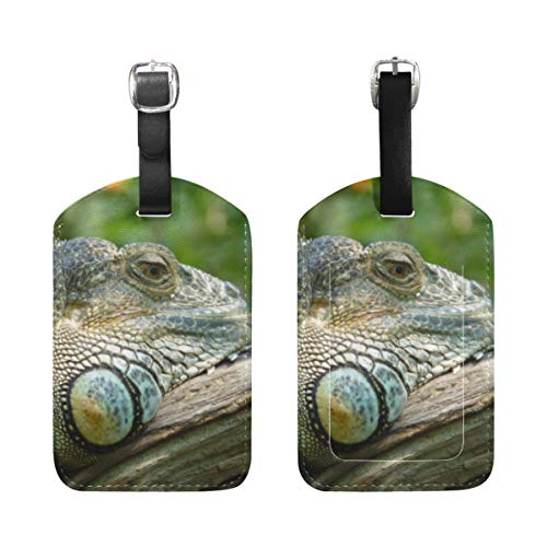 LUPINZ - Tarjetero de piel con diseño de lagartos para reptiles (2 unidades)