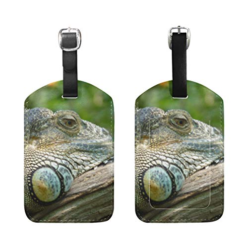 LUPINZ - Tarjetero de piel con diseño de lagartos para reptiles (2 unidades) LUPINZ - Tarjetero de piel con diseño de lagartos para reptiles (2 unidades)
