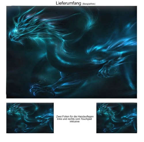 Luxburg® Design Pegatina Adhesivo Protector Skin Adhesivo para Notebook portátil 12" / 13" / 14" / 15”, Motivo: Salamandra