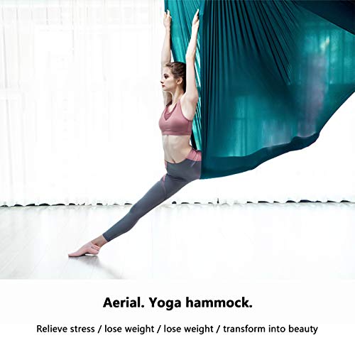 LYKH Hamaca de Yoga aérea de Gran altitud, Accesorios de Placa Fija de Acero Inoxidable, Tela de Color, Hamaca de Yoga, Utilizada para Pilates de práctica Invertida,Violeta