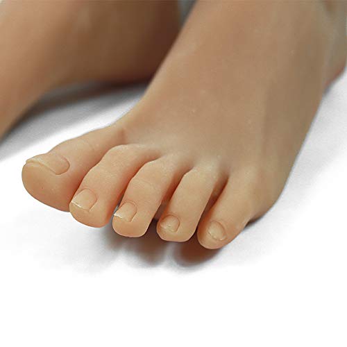 LYY Molde de Silicona con pie para manicura de 21.5 CM, Modelo de Persona Real Pies Femeninos, Tienda Mostrar Foto Belleza Pies Medias Modelo Accesorios - Color de Piel,Fullglue,Right LYY Molde de Silicona con pie para manicura de 21.5 CM, Modelo de Persona Real Pies Femeninos, Tienda Mostrar Foto Belleza Pies Medias Modelo Accesorios - Color de Piel,Fullglue,Right