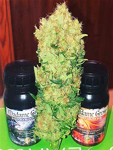 MADAME GROW / Abono Floración/Marihuana/Revienta Cogollos/Cannabis/Bazooka Bloom K30 / Cogollos explosivos/Más Resina/Superconcentrado de Potasio K30 / Abono 100% Orgánico (250 ml)