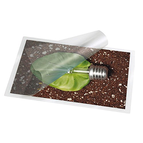 Makro Paper 325220 - Plástico para plastificar folio, caja con 100 unidades, 325 x 220 mm Makro Paper 325220 - Plástico para plastificar folio, caja con 100 unidades, 325 x 220 mm