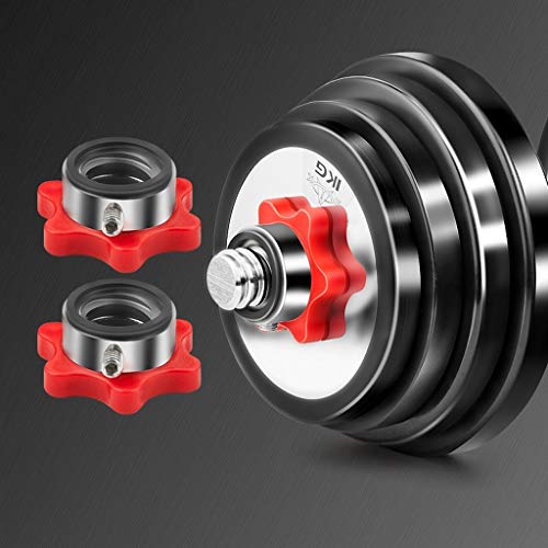 Mancuerna Mancuernas Dumbbell Dumbbells Ajustable con barra de elevación con mancuernas conjunto con la caja-de gimnasio en casa del entrenamiento del ejercicio 15 kg, 20 kg, 30 kg Mancuernas Dumbbell