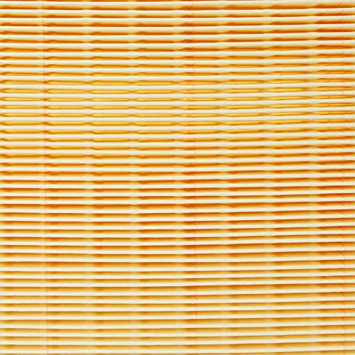 Mann Filter C 25 109/1 Filtro de aire