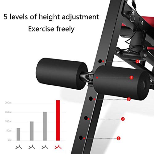 Máquinas de piernas Máquina enrolladora de Abdomen Banco de Mancuernas para el hogar Tabla de Abdominales Ajustable Equipos de Fitness para Hombres y Mujeres Equipo de Adelgazamiento Máquinas de piernas Máquina enrolladora de Abdomen Banco de Mancuernas para el hogar Tabla de Abdominales Ajustable Equipos de Fitness para Hombres y Mujeres Equipo de Adelgazamiento