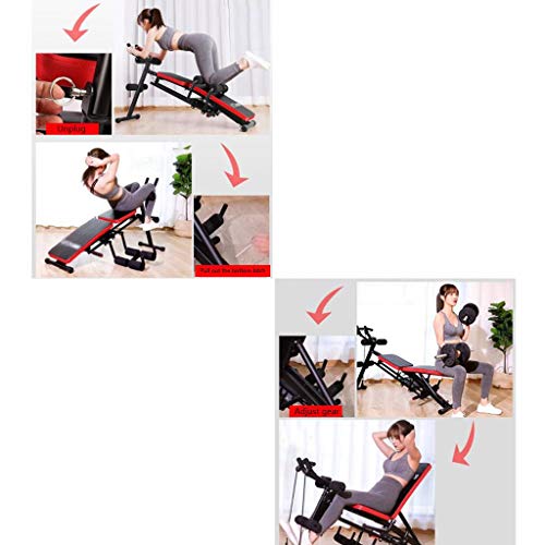 Máquinas de piernas Máquina enrolladora de Abdomen Banco de Mancuernas para el hogar Tabla de Abdominales Ajustable Equipos de Fitness para Hombres y Mujeres Equipo de Adelgazamiento Máquinas de piernas Máquina enrolladora de Abdomen Banco de Mancuernas para el hogar Tabla de Abdominales Ajustable Equipos de Fitness para Hombres y Mujeres Equipo de Adelgazamiento