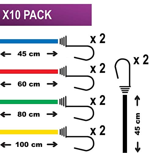 Master Lock 3043EURDAT Cuerdas elásticas con Ganchos Invertidos, óptimo para Sujetar Cargas Pequeñas,Camping,Mudanzas,Paquete de 10 Tensores, 2 x 25 cm + 2 x 45 cm + 2 x 60 cm + 2 x 80 cm + 2 x 100 cm