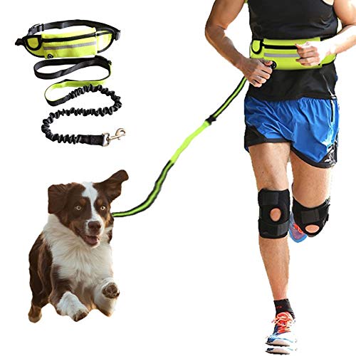 Mawenfeili1, Perro de Mascota Estiramiento de la Cinta andadora de tracción de la Cuerda del Perro fijó la Cuerda de tracción Cuerda Cuello de la Correa de Mascotas Accesorios del Perro de Perrito de Mawenfeili1, Perro de Mascota Estiramiento de la Cinta andadora de tracción de la Cuerda del Perro fijó la Cuerda de tracción Cuerda Cuello de la Correa de Mascotas Accesorios del Perro de Perrito de