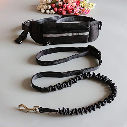 Mawenfeili1, Perro de Mascota Estiramiento de la Cinta andadora de tracción de la Cuerda del Perro fijó la Cuerda de tracción Cuerda Cuello de la Correa de Mascotas Accesorios del Perro de Perrito de Mawenfeili1, Perro de Mascota Estiramiento de la Cinta andadora de tracción de la Cuerda del Perro fijó la Cuerda de tracción Cuerda Cuello de la Correa de Mascotas Accesorios del Perro de Perrito de