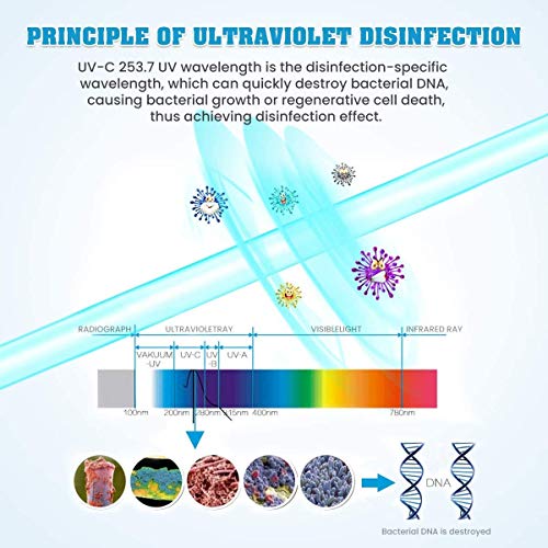 MECO Caja Esterilizadora UV de Móvil con Luz Ultravioleta Desinfectante Portátil limpiadora para Mascarillas, Chupetes, Herramientas de Belleza, Relojes, Llaves, Mata el 99.9% de Gérmenes y Bacterias