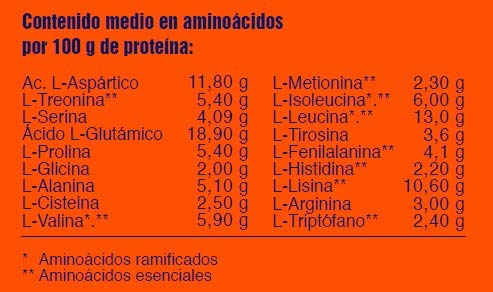 MEGA PLUS WHEY 100% LACTIC COMPETITION - Complemento alimenticio a base de proteina de suero - 1Kg, Chocolate negro MEGA PLUS WHEY 100% LACTIC COMPETITION - Complemento alimenticio a base de proteina de suero - 1Kg, Chocolate negro