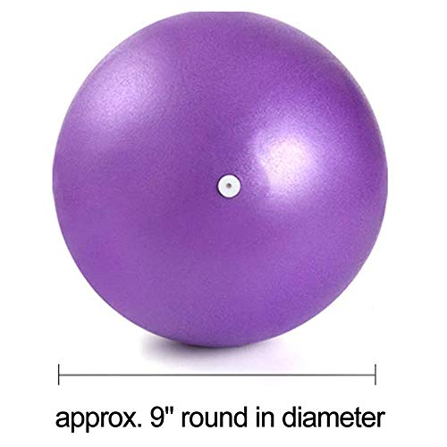 MELARQT Pelota Pilates, Mini Pelota de Ejercicio de 25cm, Anti-Burst Ballon Fitness, Pelota Morada Fitness, Softball Pilates para Gimnasio, Yoga, Masaje y Pilates en Casa