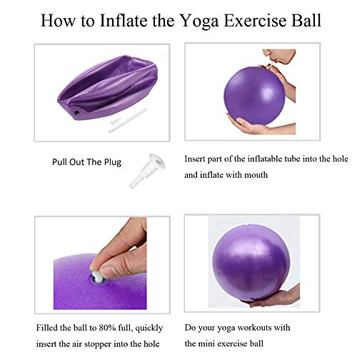 MELARQT Pelota Pilates, Mini Pelota de Ejercicio de 25cm, Anti-Burst Ballon Fitness, Pelota Morada Fitness, Softball Pilates para Gimnasio, Yoga, Masaje y Pilates en Casa MELARQT Pelota Pilates, Mini Pelota de Ejercicio de 25cm, Anti-Burst Ballon Fitness, Pelota Morada Fitness, Softball Pilates para Gimnasio, Yoga, Masaje y Pilates en Casa