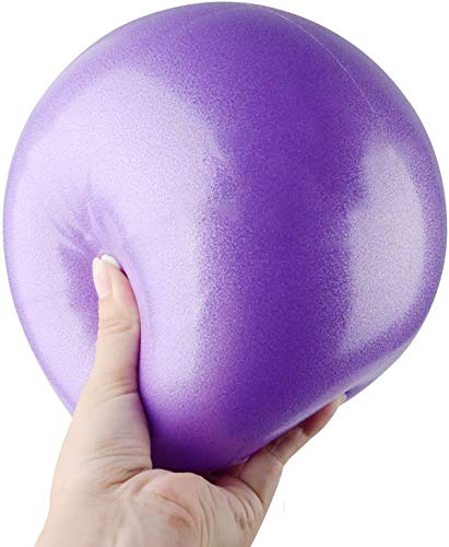 MELARQT Pelota Pilates, Mini Pelota de Ejercicio de 25cm, Anti-Burst Ballon Fitness, Pelota Morada Fitness, Softball Pilates para Gimnasio, Yoga, Masaje y Pilates en Casa