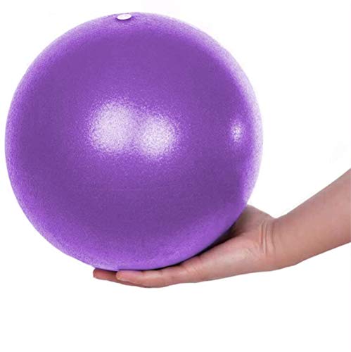 MELARQT Pelota Pilates, Mini Pelota de Ejercicio de 25cm, Anti-Burst Ballon Fitness, Pelota Morada Fitness, Softball Pilates para Gimnasio, Yoga, Masaje y Pilates en Casa