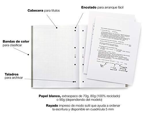 MIQUELRIUS - Bloc Recambio Hojas encoladas - 5 franjas de colores pastel, 100 Hojas cuadriculadas de 5mm, Tamaño A4, Papel 90 g, Con 4 Taladros
