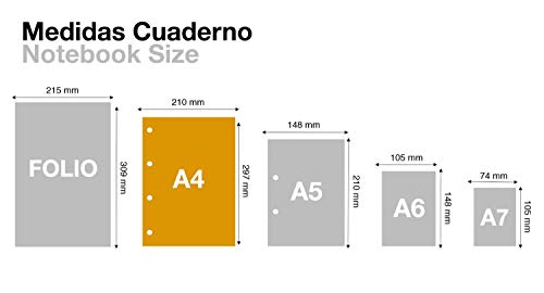 MIQUELRIUS - Bloc Recambio Hojas encoladas - 5 franjas de colores pastel, 100 Hojas cuadriculadas de 5mm, Tamaño A4, Papel 90 g, Con 4 Taladros