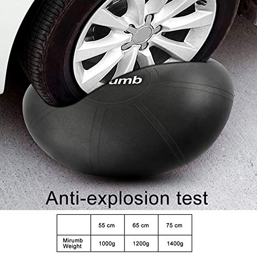 Mirumb Pelota de Ejercicio, Massage Balls Pelota de Pilates Yoga Ball 75CM 65CM 55CM con Bomba Anti Explosión para Fitness, Embarazo,Oficina,Silla de Equilibrio,Gimnasio Mirumb Pelota de Ejercicio, Massage Balls Pelota de Pilates Yoga Ball 75CM 65CM 55CM con Bomba Anti Explosión para Fitness, Embarazo,Oficina,Silla de Equilibrio,Gimnasio