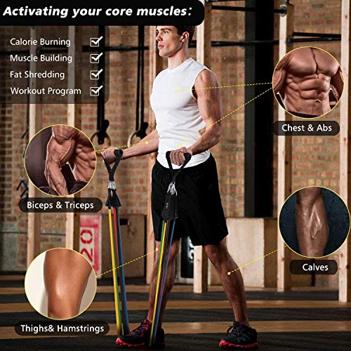 MISSJJ Bandas Yoga de Resistencia, Juego de Cuerdas Gomas Elásticas para Gym/Home, para Fitness, Pilates, Yoga, Gimnasio, Entrenamiento, etc. MISSJJ Bandas Yoga de Resistencia, Juego de Cuerdas Gomas Elásticas para Gym/Home, para Fitness, Pilates, Yoga, Gimnasio, Entrenamiento, etc.