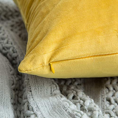 MIULEE Pack de 2, Terciopelo Suave Juego de Mesa de Manta de decoración Cuadrado Fundas de Almohada Funda de cojín para sofá dormitorio18 x 18 Pulgada 45 x 45 cm Amarillo limón MIULEE Pack de 2, Terciopelo Suave Juego de Mesa de Manta de decoración Cuadrado Fundas de Almohada Funda de cojín para sofá dormitorio18 x 18 Pulgada 45 x 45 cm Amarillo limón