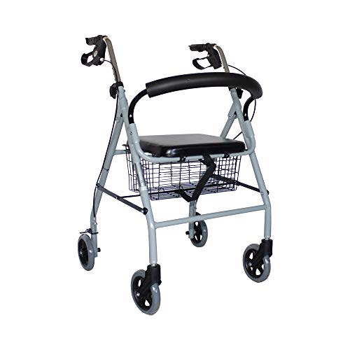 Mobiclinic, Modelo Alhambra, Rollator de 4 ruedas, Andador para minusválidos, mayores, adultos o ancianos, ayuda para caminar, aluminio, ligero, plegable, con asiento y 4 ruedas, gris Mobiclinic, Modelo Alhambra, Rollator de 4 ruedas, Andador para minusválidos, mayores, adultos o ancianos, ayuda para caminar, aluminio, ligero, plegable, con asiento y 4 ruedas, gris